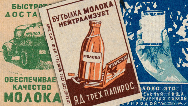 Почему мы пьем молоко других животных и считаем это нормой, и как человечество к этому пришло