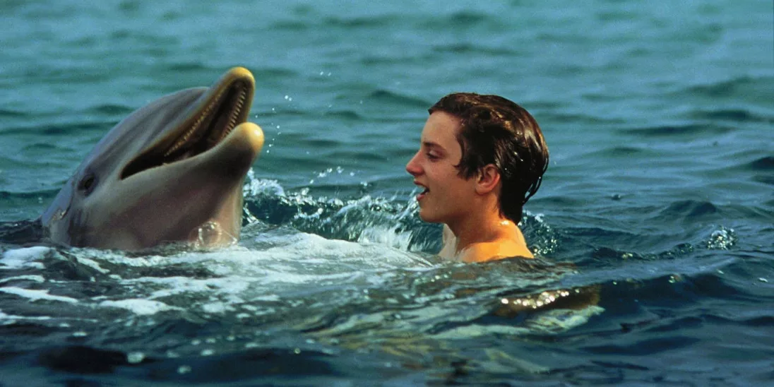 Кадр из фильма  «Флиппер»