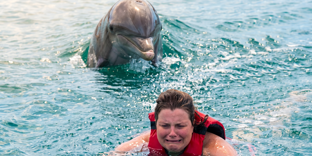 Хватит считать их ангелами океана. Странные факты о том, что творят дельфины с другими животными ради забавы