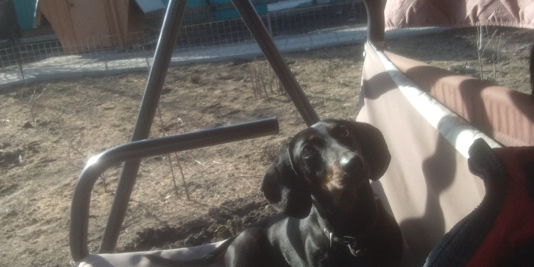 Преображение сада из того что есть! До и после. Ландшафтный дизайн