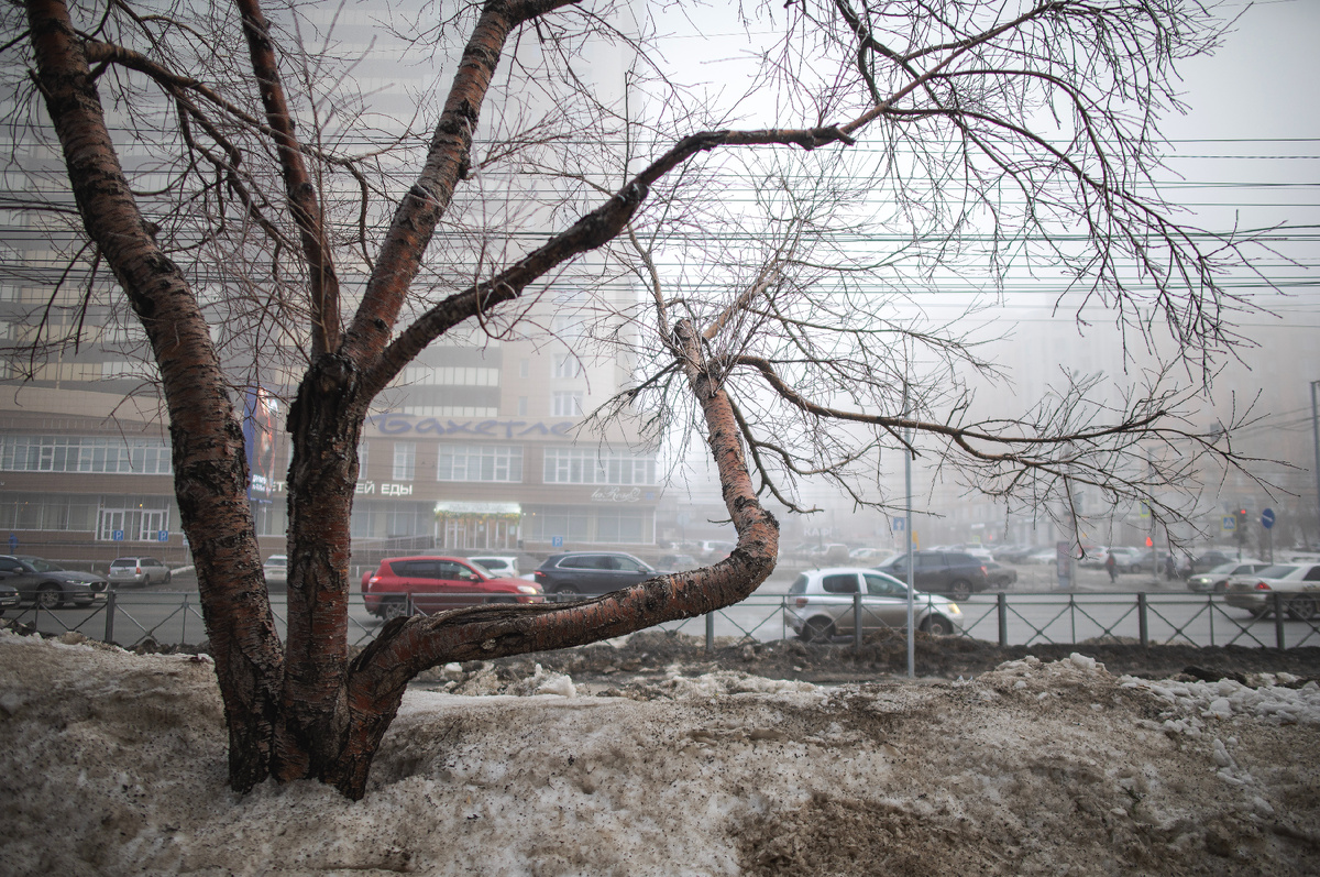 Фото автора. Новосибирск, ул. Кирова