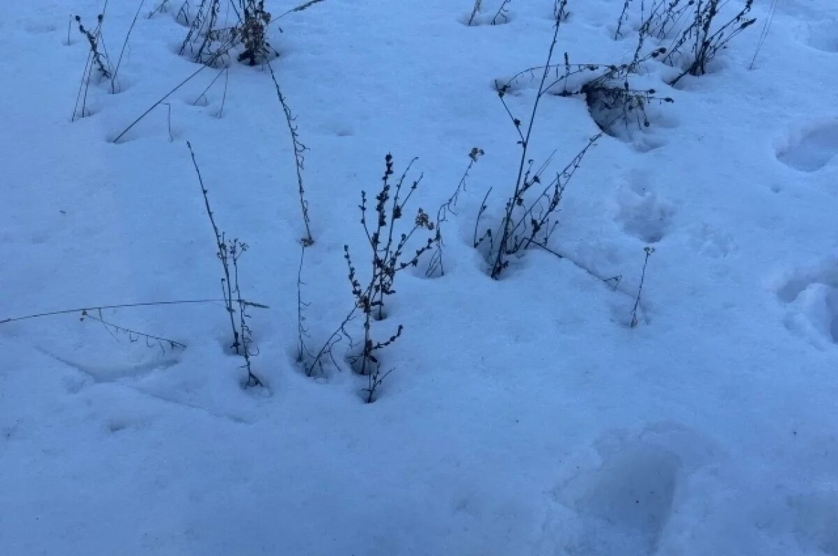   Иркутская область вошла в список самых заснеженных регионов весной 2026