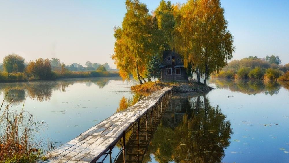 Взято из интернета. Не имеет непосредственного отношения к рассказу.