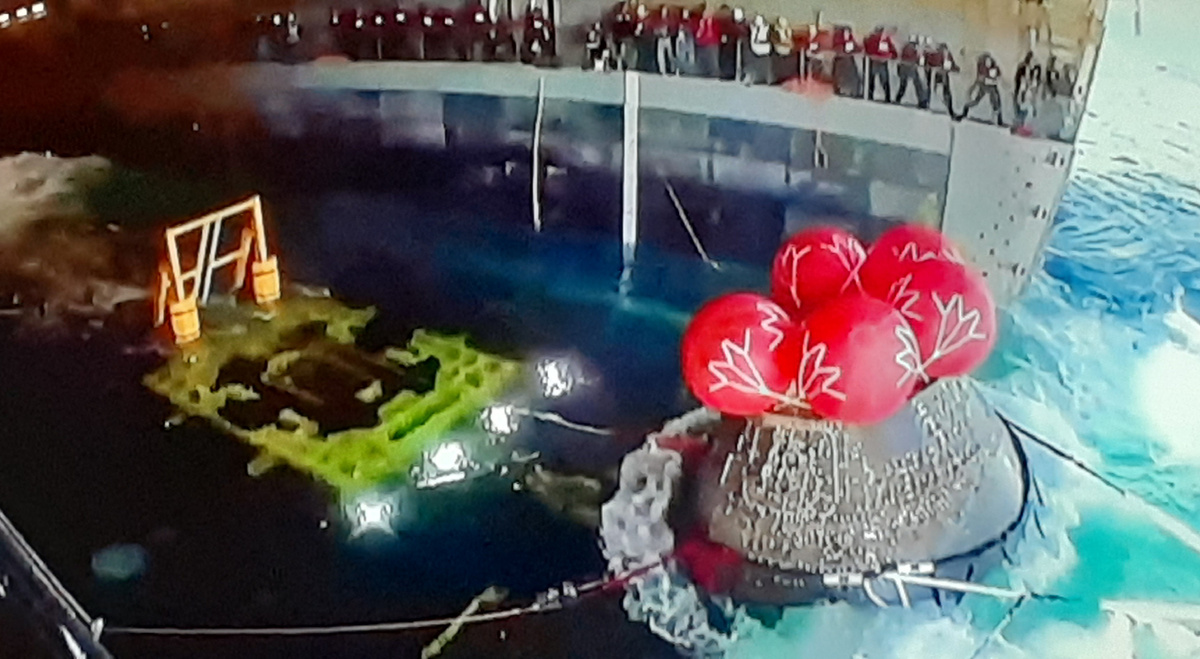 Фото из свободных источников