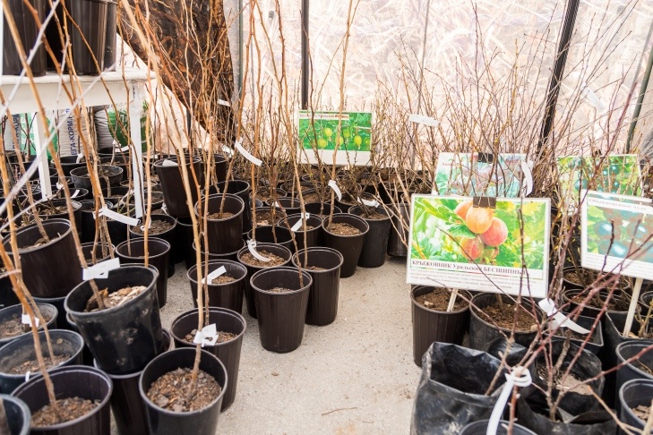    Фото Андрея Заржецкого