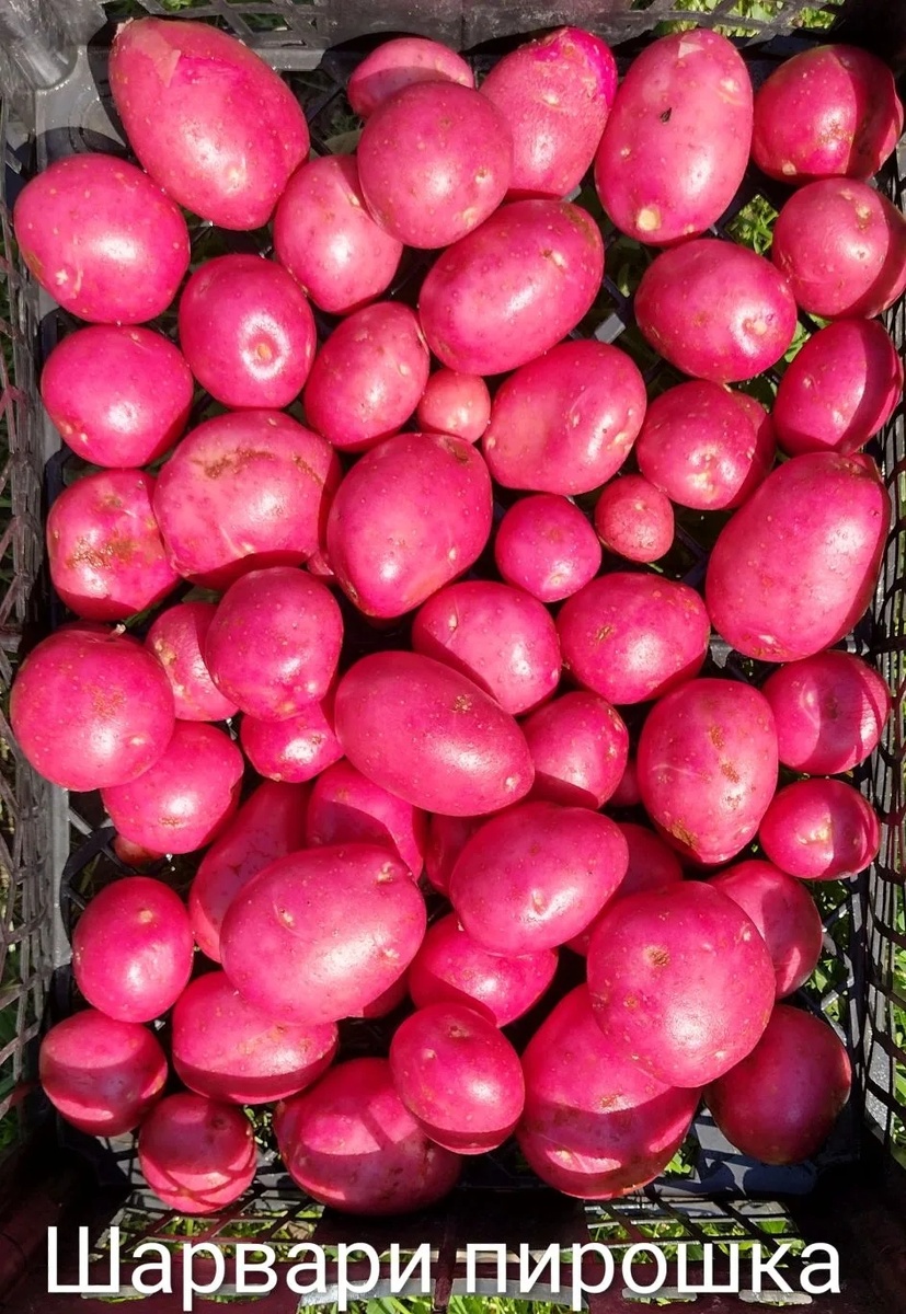 Фото Евгения 