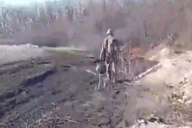    Фото: кадр видео