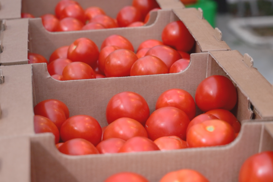 Фото ИА «Камчатка»