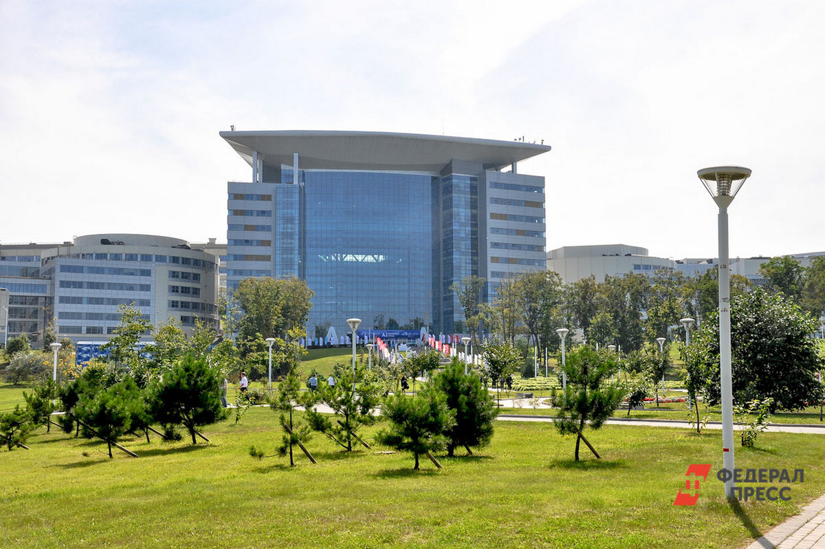 Подрядчик приступил к благоустройству места отдыха и прогулок у моря.  Фото: Фото: ФедералПресс / Екатерина Лазарева