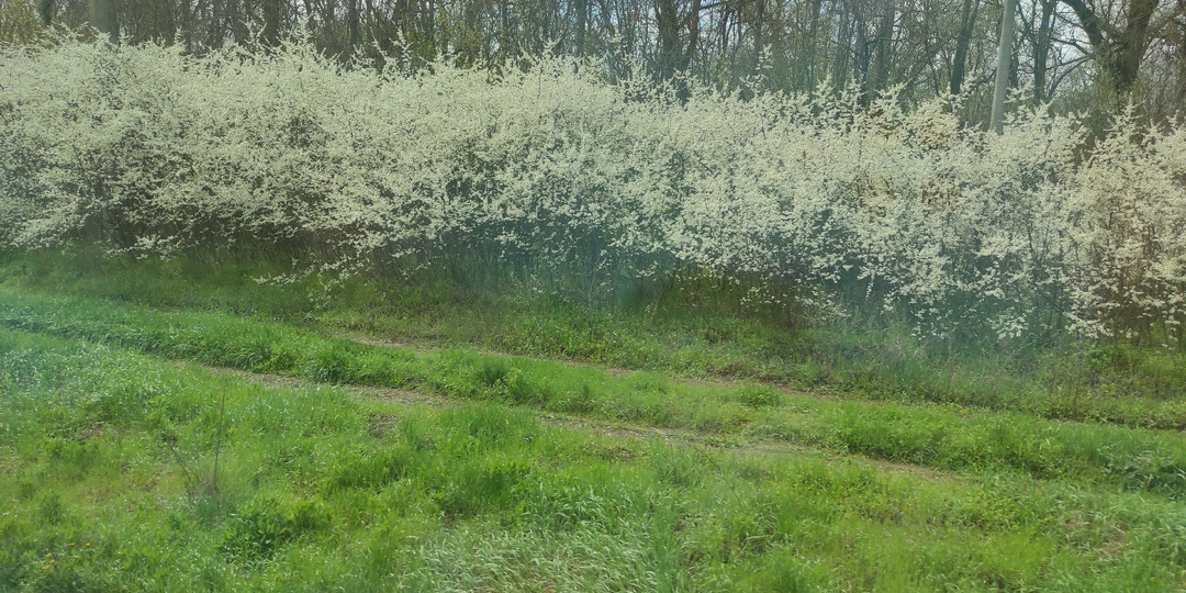 Вернулась в Тамань. Провели газ до дома