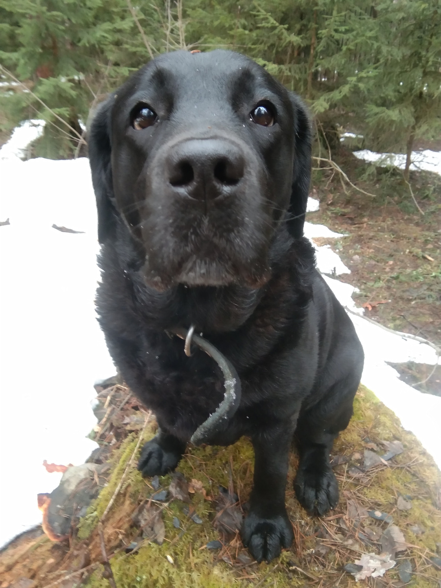 Фото автора. 