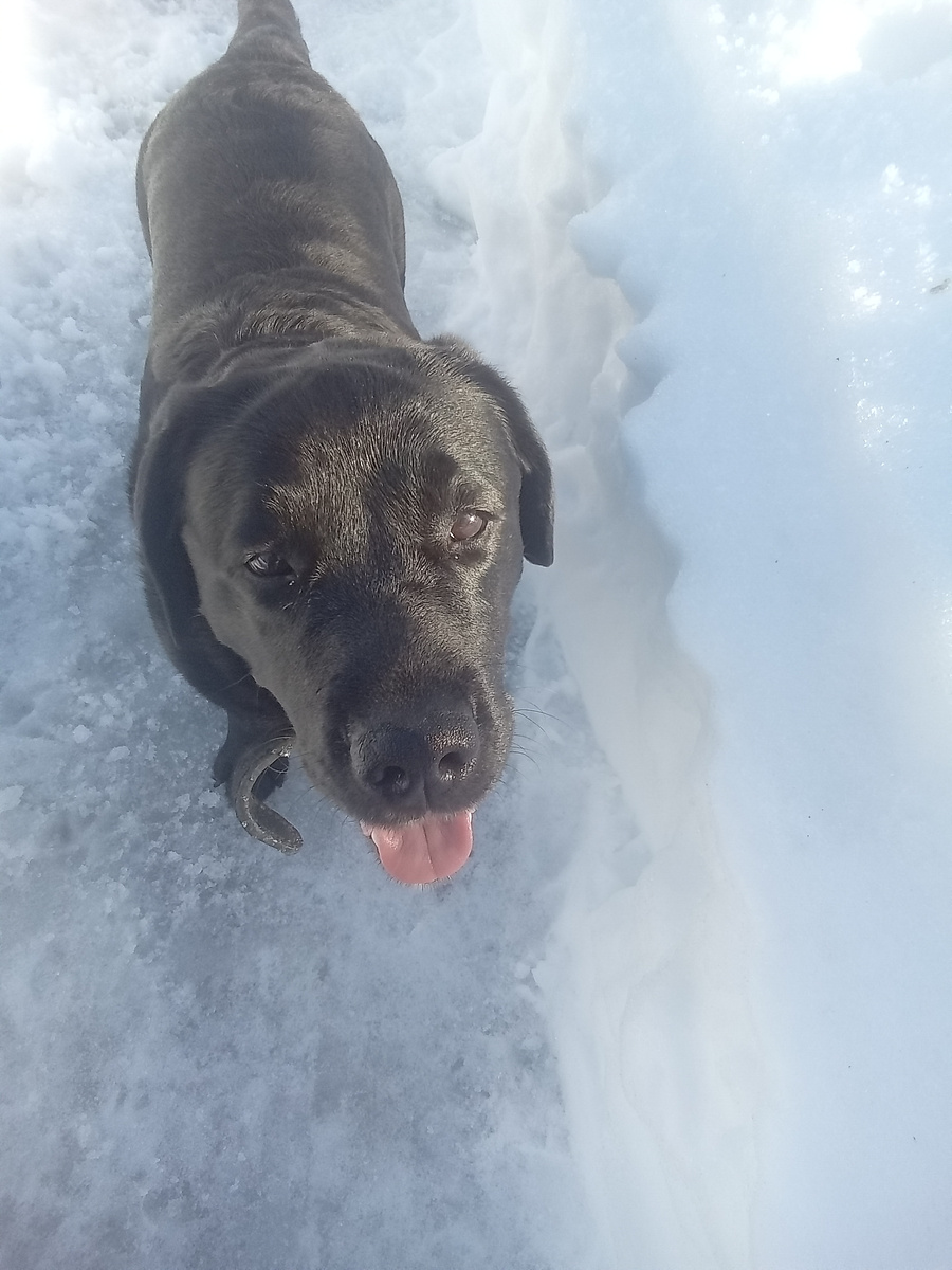 Фото автора. Вы ещё верите что может измениться что-то?