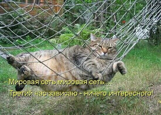 Мемы для отличного настроения