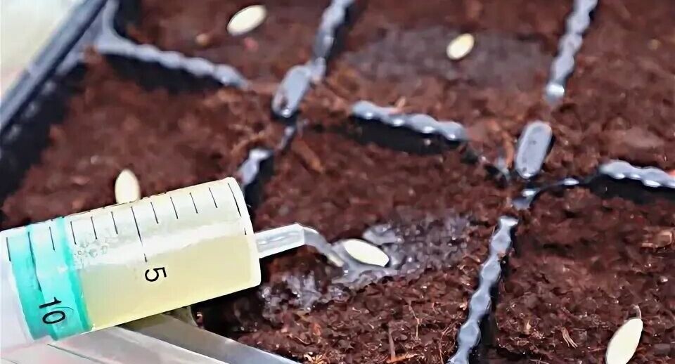 Посадите огурцы этим способом на рассаду в апреле мае!