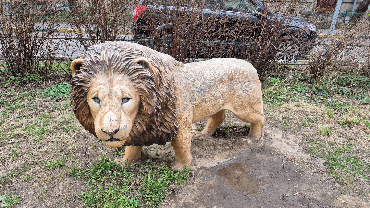 Сейчас я похожа на этого грустного льва в одном из дворов моего города. 