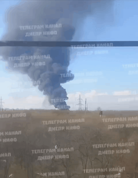    Видео: "Медведь"