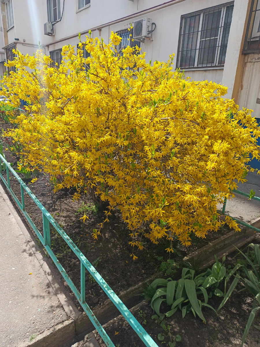 Фото пвтора