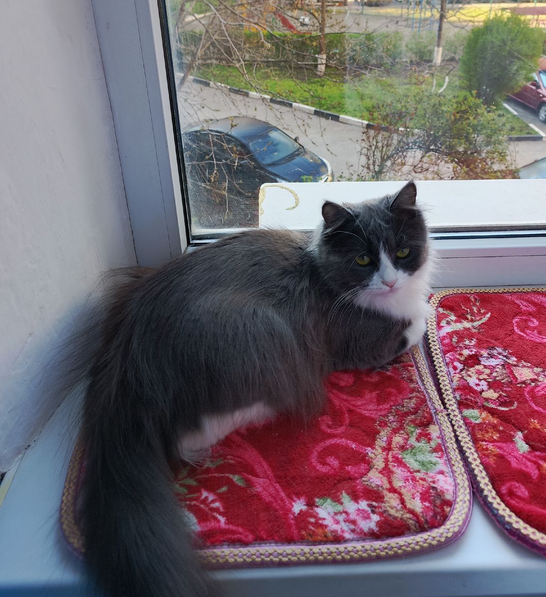 Фото автора 