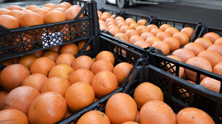    Фото: © РИА Новости/Рамиль Ситдиков