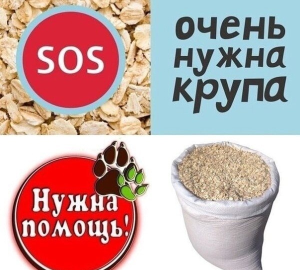 Сегодня у нас очень ответственный день, День Столька, который мы посвещаем сбору денежек на крупу.
