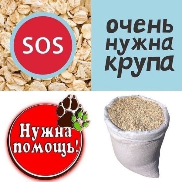 Из открытого источника