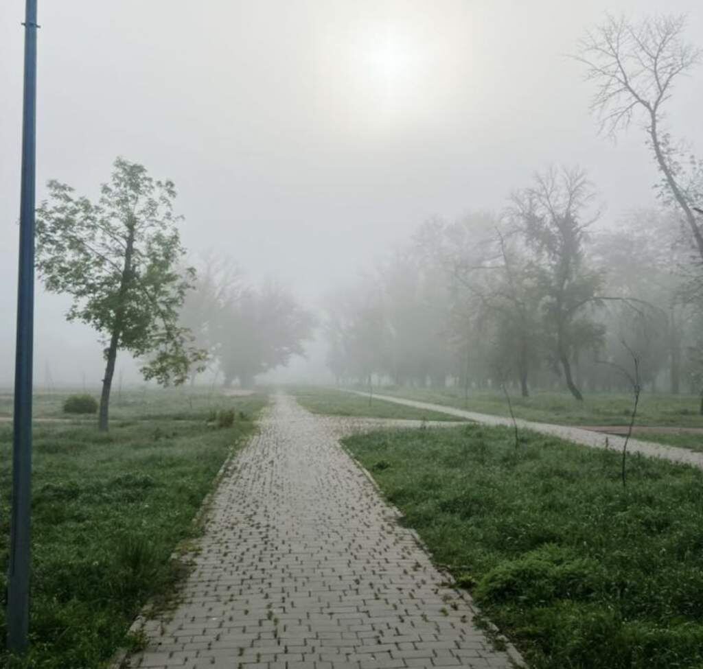    Фото: "Веселовские вести" Веселовские вести