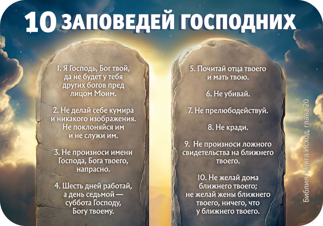 Яндекс. Картинки.