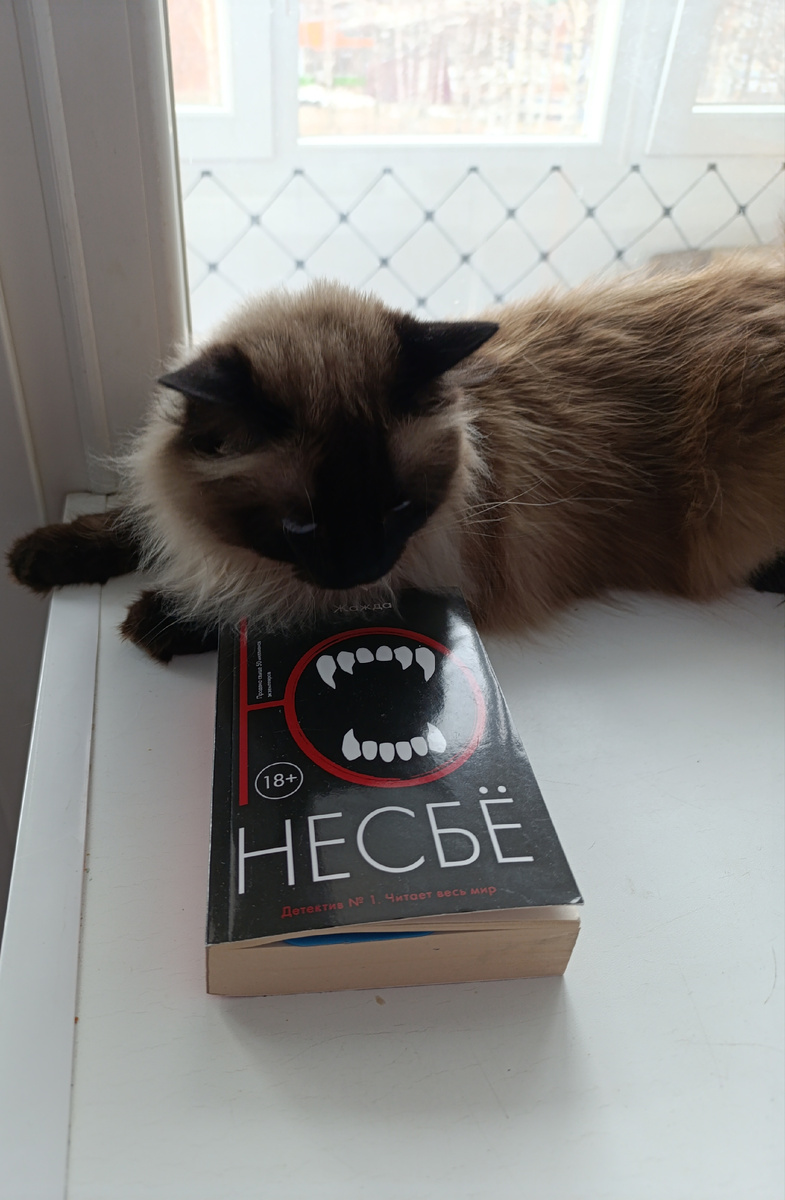 Роман сегодня представляет Джеська, которую то ли заинтересовала, то ли напугала обложка книги. 
