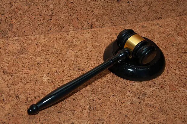    Источник: lenta.ru/ Полина Белоусова