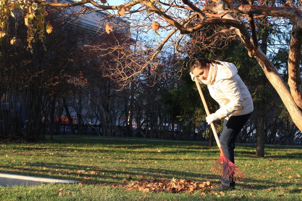    Фото: Павел Комаров, nsknews.info