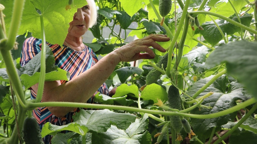    фото из архива редакции