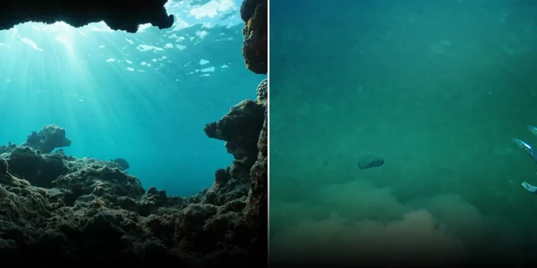 Спустя 158 лет раскрыта тайна кораблекрушения на озере Эри