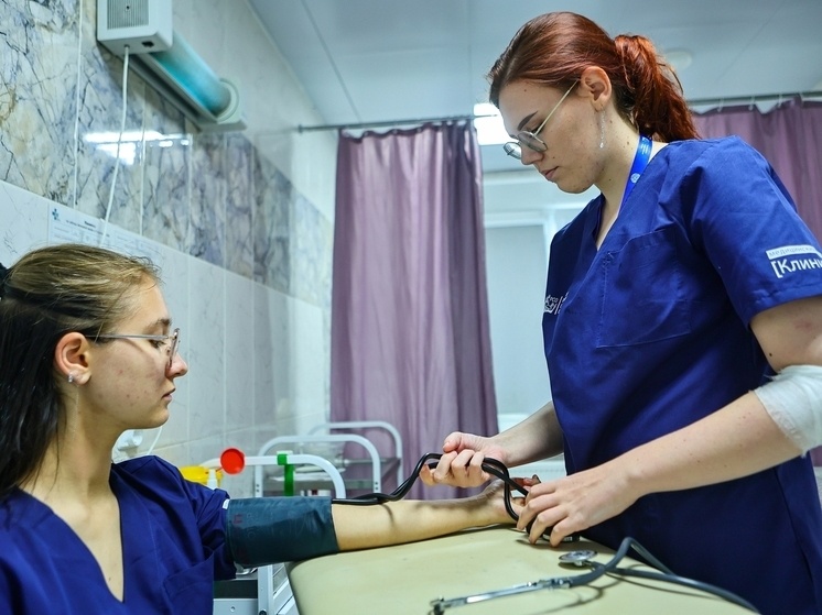     Фото: Никита Каверин, пресс-служба Челябинского регионального отделения студотрядов