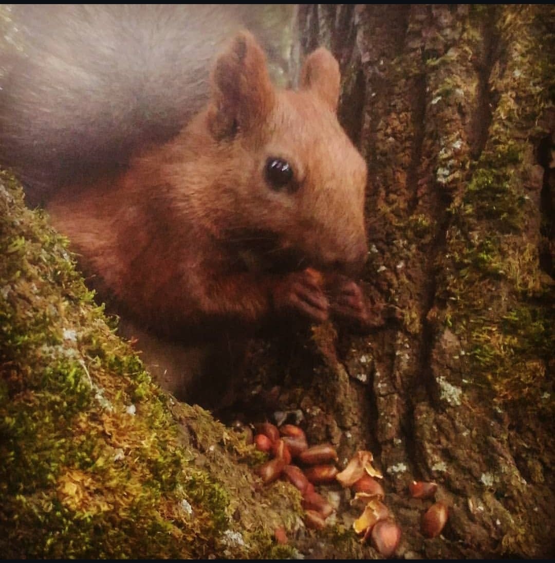 фото: Марина Аболина