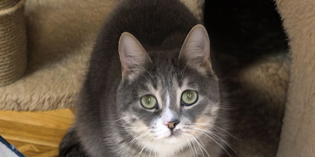 Замрите на мгновение