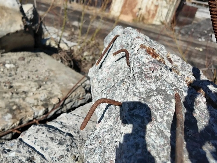     Фото пресс-службы ОНФ Архангельской области