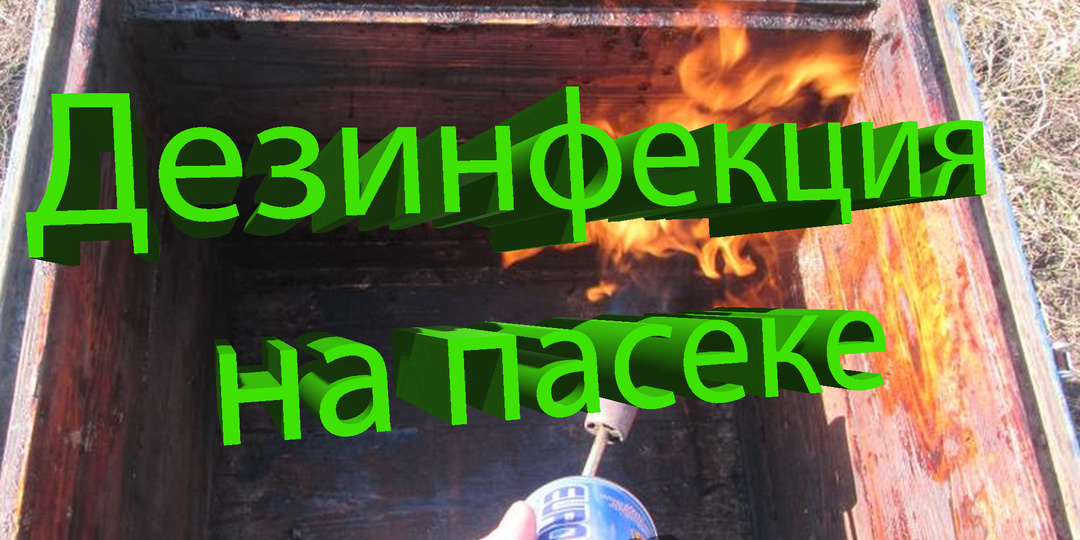 Чем дезинфицировать ульи? Кашковский отвечает (и про зольный щёлок тоже) 🧼🐝