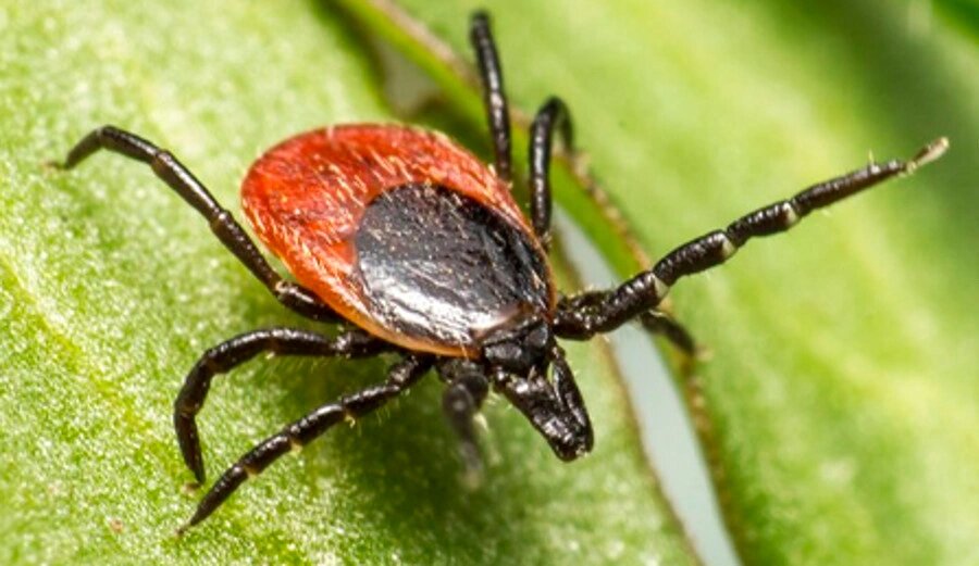    Фото: Роспотребнадзор