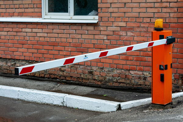 Svetlana Vozmilova/Global Look Press   📷