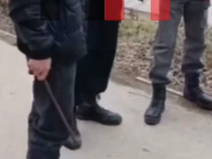    Фото: parmanews.ru