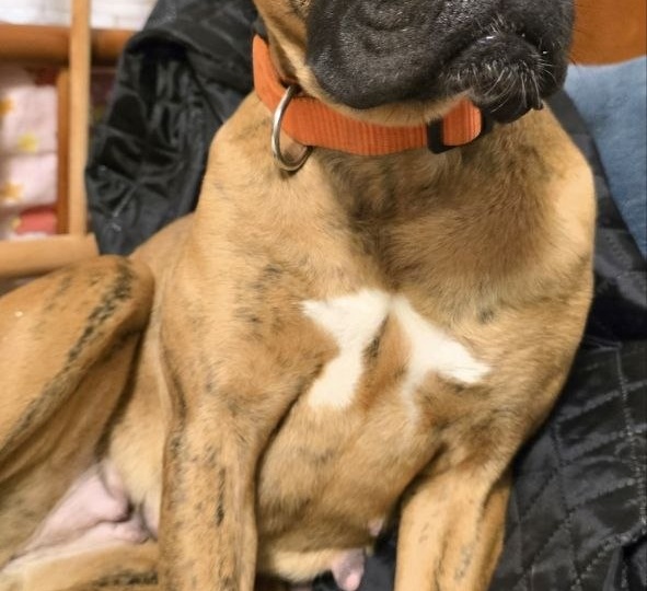 Всех с праздником