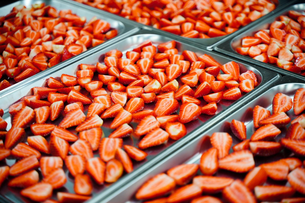 Свежая клубника в лотках перед сублимацией