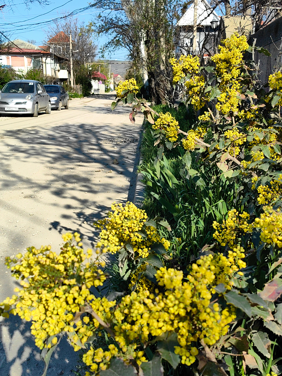 На ул. Десантников. Фото автора канала