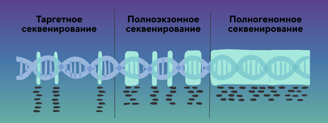 Чем отличаются полногеномное и полноэкзомное секвенирование? Какой метод лучше выбрать для диагностики генетических заболеваний?