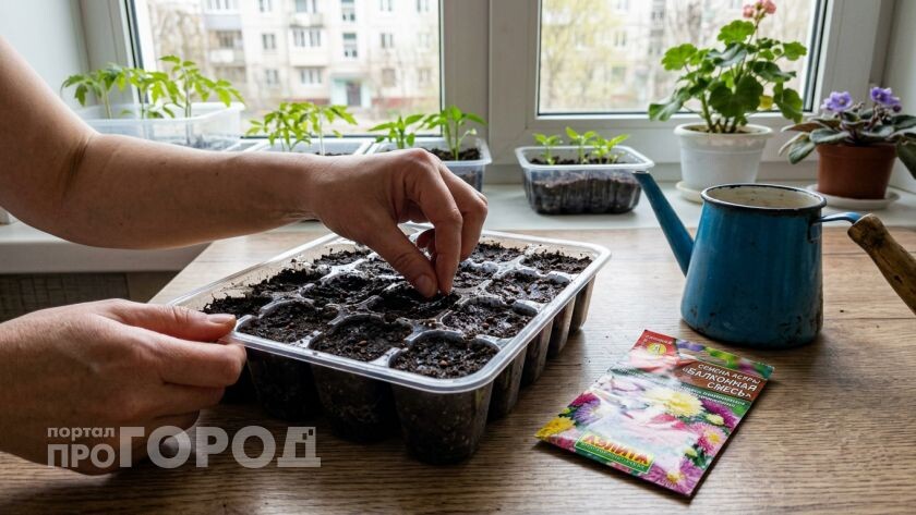    Фото ИИ Про Город