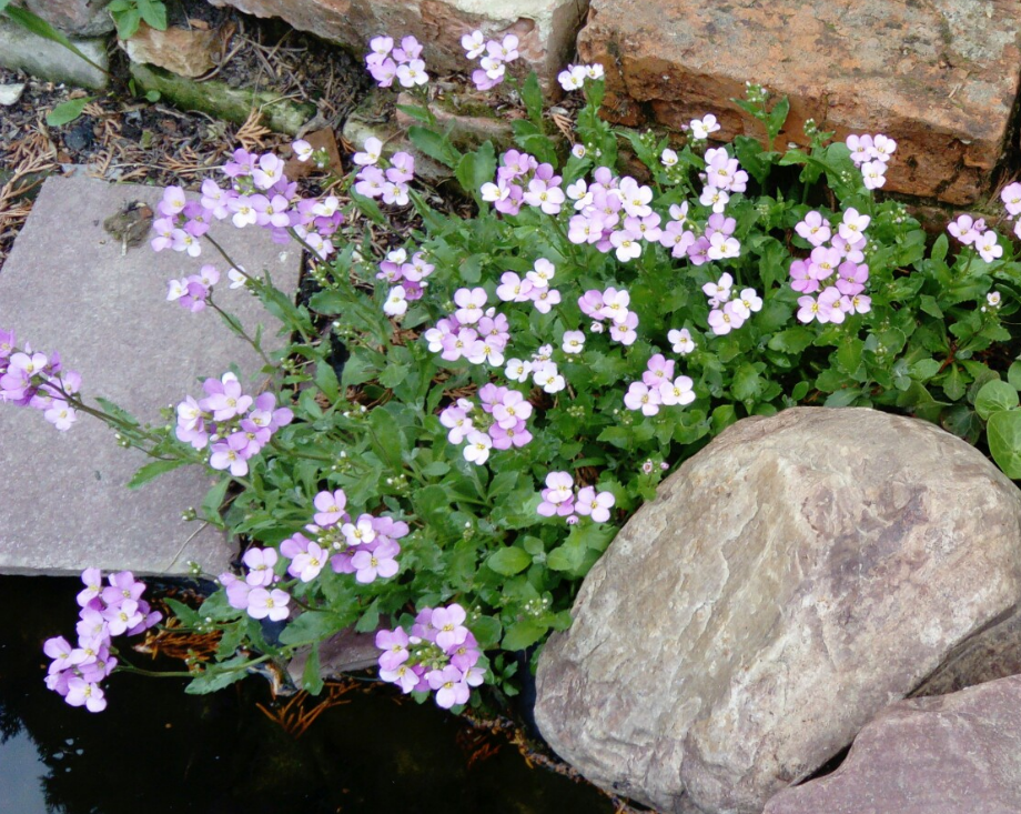 проще простого