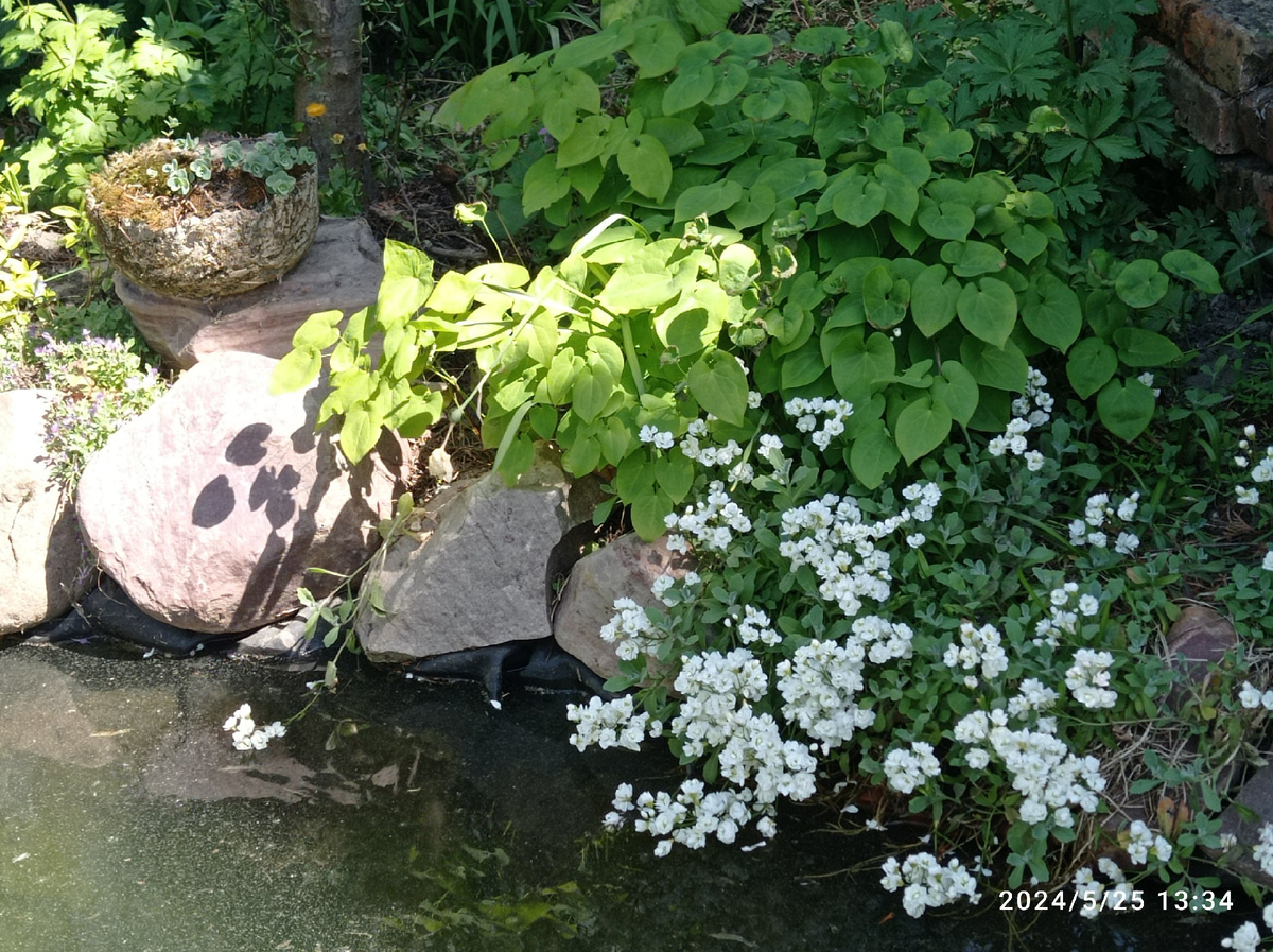 другой там же