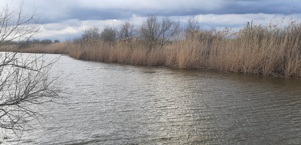 Водоемы уже освобождаются ото льда в это время