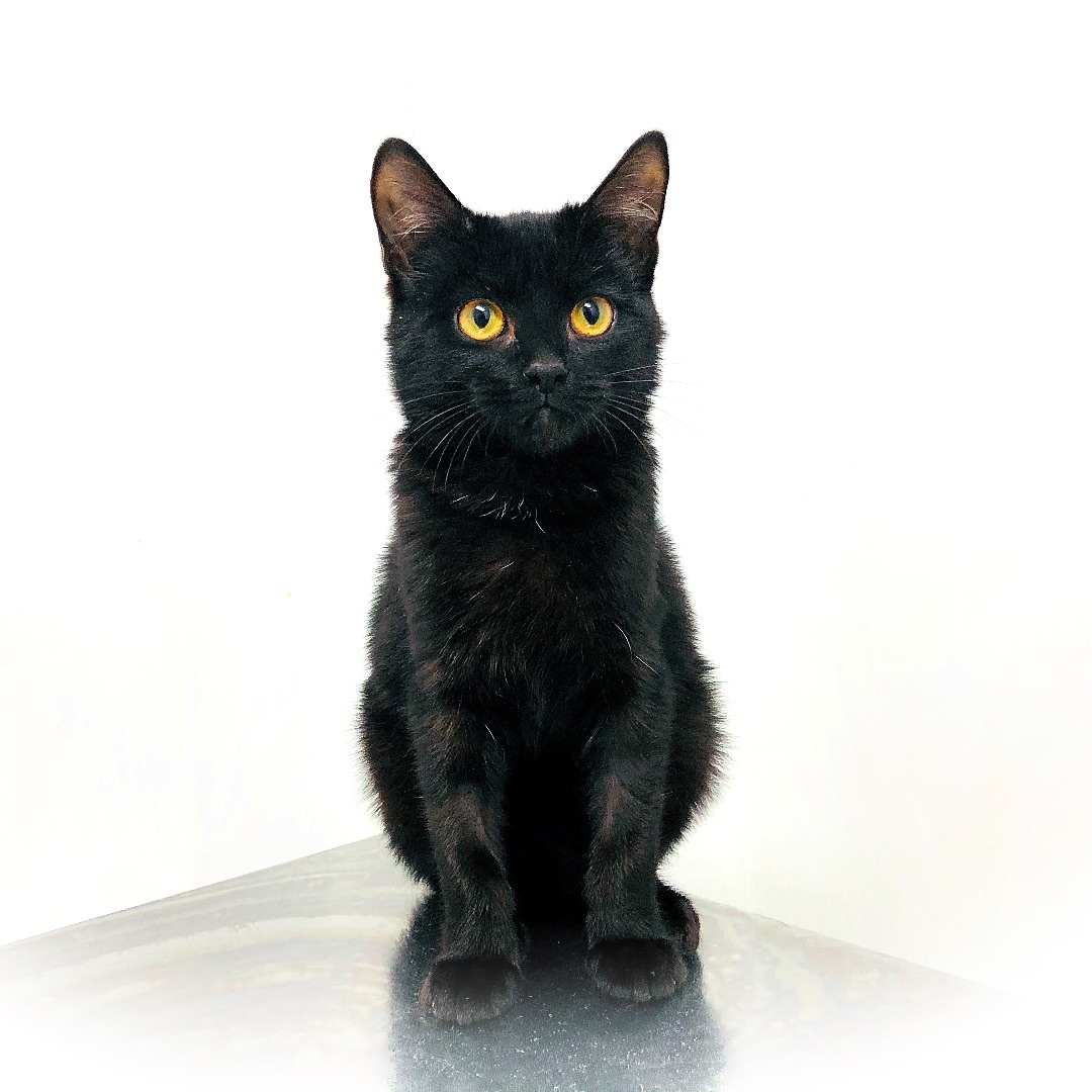 Осенью 2021 года случилось главное чудо — Наоми нашла СВОЮ семью!