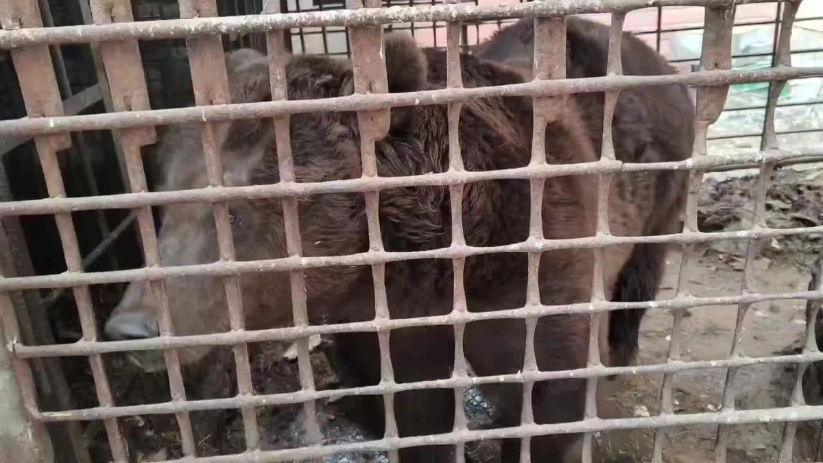 Этим фото Светлана Акулова сопроводила свой пост о Степане в соцсетях